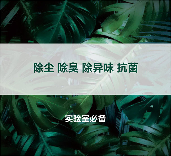告別惡臭,守護呼吸健康,全面凈化動物實驗室空氣環境