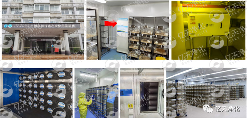 動物實驗室難聞的惡臭異味有哪些危害?如何去除?——動物實驗室去除臭味異味空氣質量控制方案